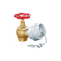 Yangın / Itfaiye Kat Bağlantı Vanası Tapalı 2''