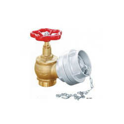 Rekorlu Körtapalı Yangın Vanası 21/2''